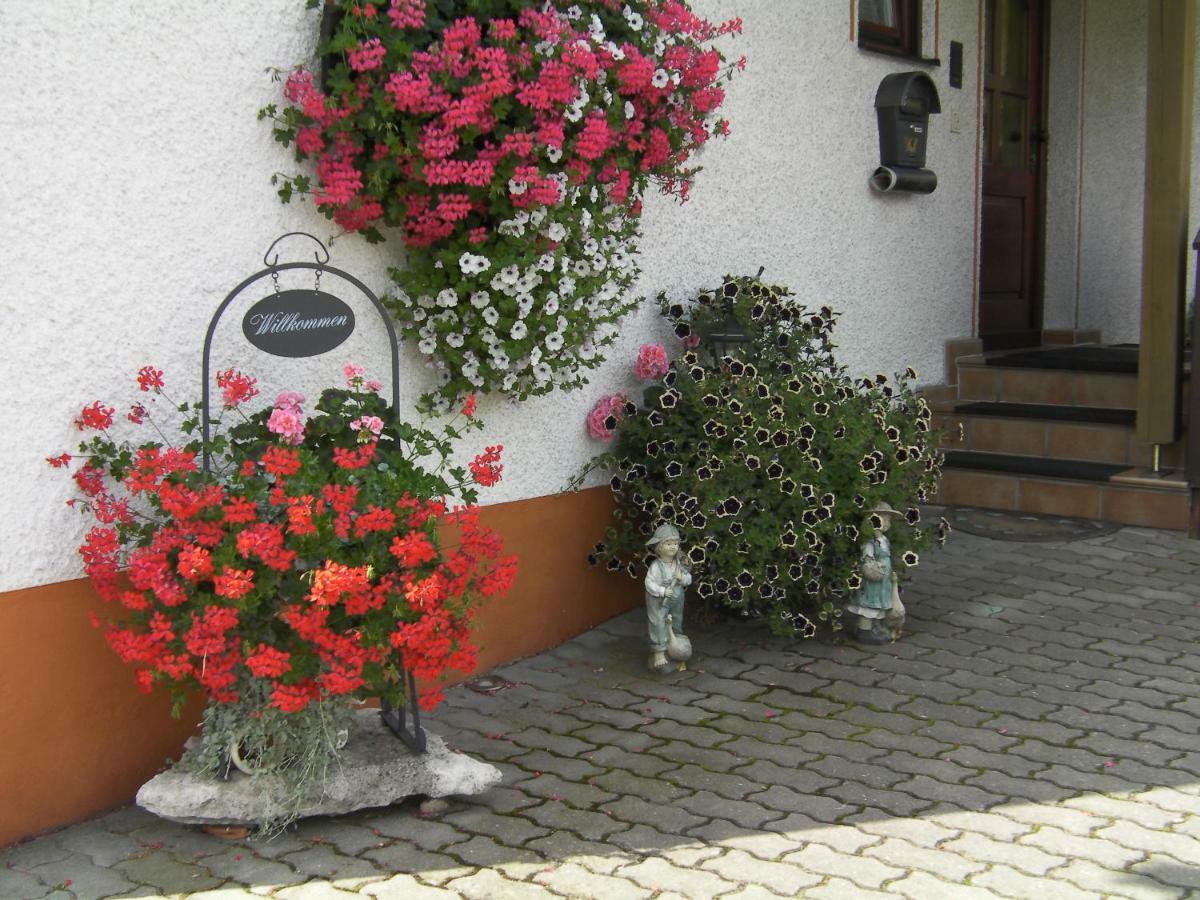 Haus Sonnenschein Apartment Goessweinstein Exterior photo